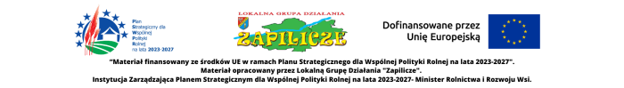 Miniaturka artykułu LGD Zapilicze