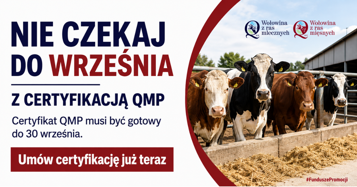 Miniaturka artykułu certyfikat QMP