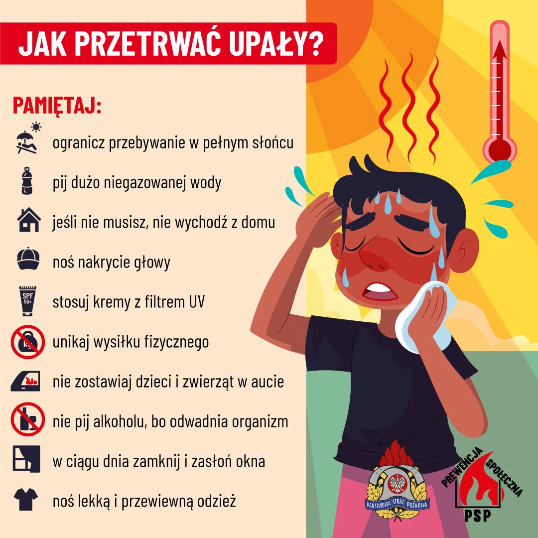 Miniaturka artykułu Jak przetrwać upały?
