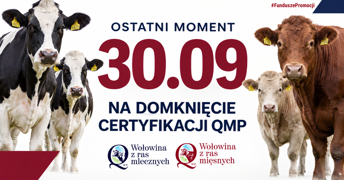Miniaturka artykułu Certyfikat QMP — termin uzyskania upływa 30 września 2026 r.